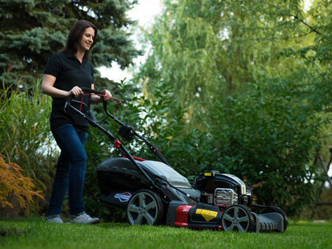 Briggs and stratton 675 ex sales 190cc